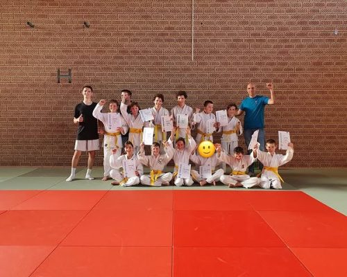 15 neue Kyu-Grade beim Ju Jutsu