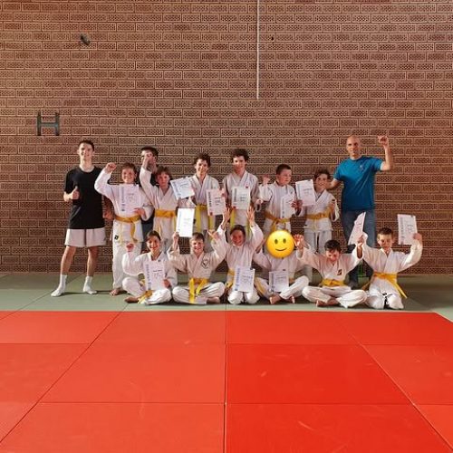 15 neue Kyu-Grade beim Ju Jutsu