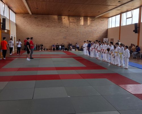 Randoriturnier in Eppelsheim