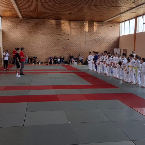 Randoriturnier in Eppelsheim