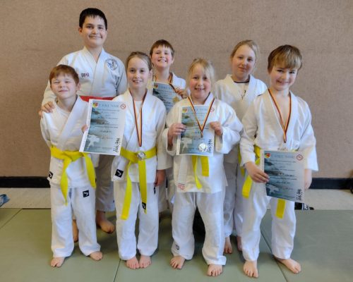 Erfolge beim Bezirksturnier