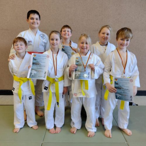 Erfolge beim Bezirksturnier